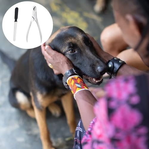 YTRUOYI 2 PCS Pet Nail Clippers Professional Dog Nail Clippers Dog Nail File Heavy Duty Stainless Steel Dog Nail Trimmer for Dogs and Cats - Thumbnail 6