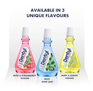 Dentyl Fresh Protect CPC Mouthwash, Alcohol Free Oral Rinse for Adults & Kids 6 Years+, Mild Mint Leaf, 500 ml