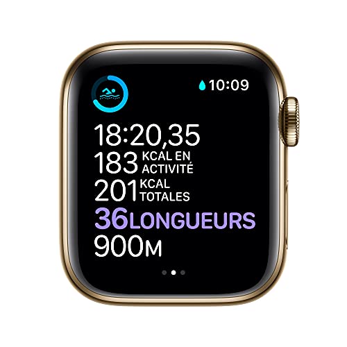 Unbekannt Apple Watch Series 6 GPS Cellular 40 mm Gold Edelstahl, MJXM3NFA - Image 5