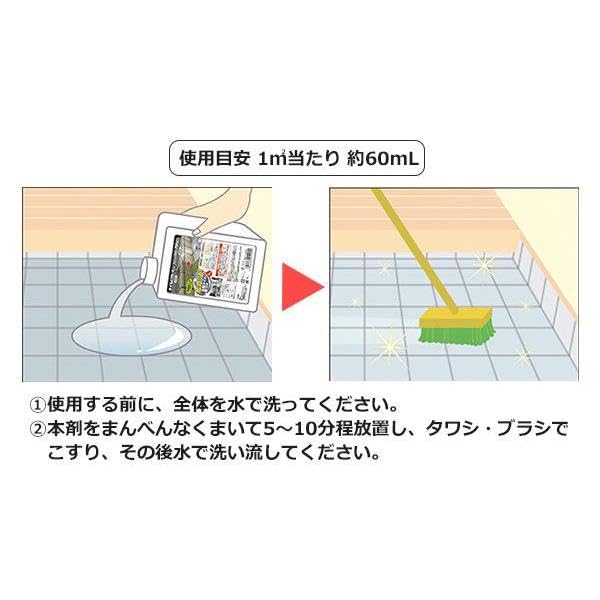 Amazon.co.jp: ピカッと！玄関タイル 墓石 カビ 汚れ 除菌剤入り 洗浄 