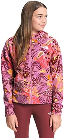 glacier full zip hoodie the north face