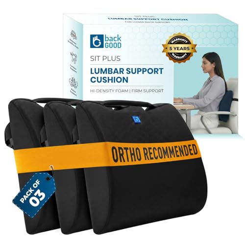 Image of Orthosit Orthopedic Lumbar Support | 5-Yr-Warranty | Back Support Cushion | Back Pain Relief| (Black - Set of 3)