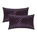 CaliTime Pack of 2 Cushion Covers Bolster Pillow Cases Shells for Couch Sofa Home Decor Modern Shining & Dull Contrast Circles Rings Geometric 12 X 20 Inches Deep Purple