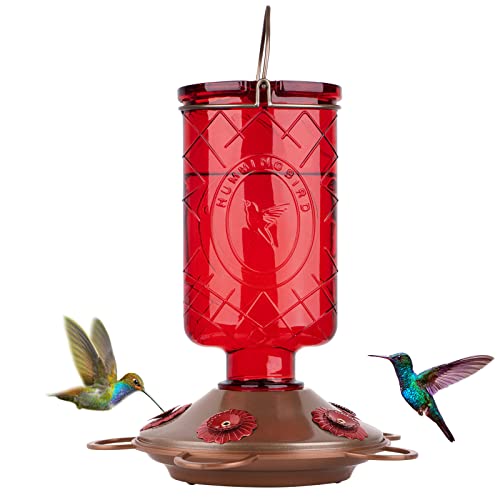 BOLITE 18005 Hummingbird Feeders, Glass Hummingbird Feeders for Outdoors, 5 Feeding Stations, 22 Ounces, Red Bottle