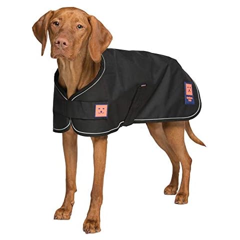 Ginger Ted Waterproof Dog Coat with Reflective Piping Cover