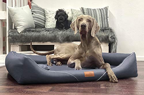 tierlando® Orthopädisches Hundebett William Easy-Clean | Luxus Hundesofa Kunstleder | Allergiker Anti-Haar | Memory Foam L+ | Graphit Cover