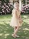 Miipat Baby Mädchen Kleid Tüll Kleinkind Mädchen Tutu Prinzessin Kleider mit Blumestirnband für Hochzeit Party Geburtstags Festliches Foto Shoot Kinder Kleidung Beige 80 12-18 Monate