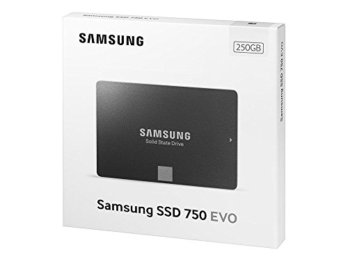 SAMSUNG SSD 750 EVO - Disco Duro sólido (250 GB, Serial ATA III, 256-bit AES, 2.5"), Negro