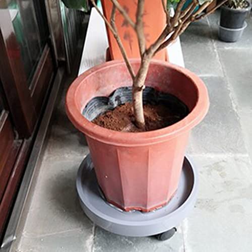 Support à plantes roulettes plastique pour déplacer pot de fleur lourd sans effort