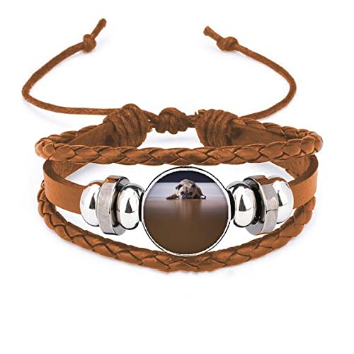 Bracelet en cuir pour chambre de chien en matériau noble et durable