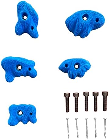 RockHolds Easy to Grab Desert Rock Climbing Hold Set Home Wall Bouldering Gym Holds (Blue)