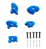 RockHolds Easy to Grab Desert Rock Climbing Hold Set Home Wall Bouldering Gym Holds (Blue)