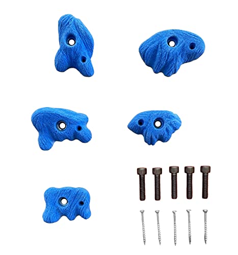 Rockholds Easy To Grab Desert Rock Climbing Hold Set Home Wall Bouldering Gym Holds (Blue) #TOP3