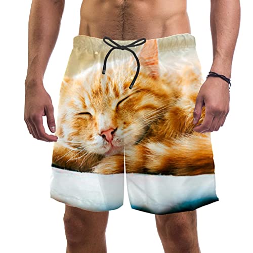 Maillots de bain pour hommes contre l'humidité short de plage chat