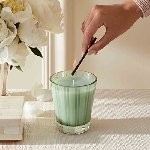 Nest New York Wild Mint & Eucalyptus Scented Classic Candle #TOP1