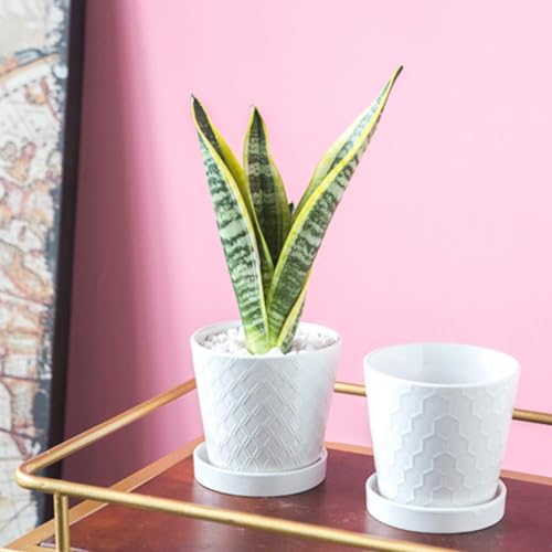 Image of BUYMAX Succulent Planter -5 inchinch Ceramic Flower Pot with Drainage Holes and Ceramic Tray - Gardening Home Desktop Office Windowsill Decoration Gift Set 4 - Plants NOT Included
