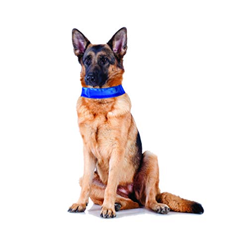 k9 chill cooling collar