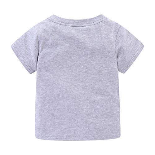 Image of LittleSpring Boys Summer 2piece Outfits Short Sleeve T-Shirt and Shorts Set