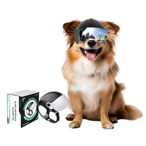 Namsan - NAMSAN Motorrad Hundehelm mit Anti-UV Schutzbrille Fahrradhelm für Kleine Hunde mit Visier (ohne Nieten), Silberne Linsen - -13%