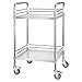 VEVOR Stainless Steel Rolling Cart, 2-Tier Metal Utility Cart with Lockable Wheels, Medical Serving Trolley Clinic Tray, Mobile Service Cart for Hospital, Lab, Restaurant, Kitchen, Salon