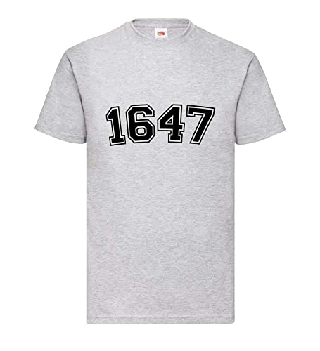 T-shirt pour homme gris XXXL : vêtement basique ample et confortable en coton