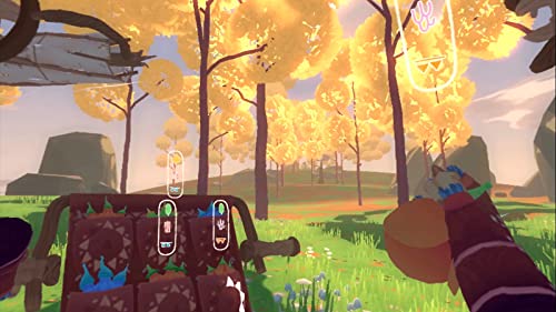Limited Run Wind and Leaves PSVR Importation - vue 3
