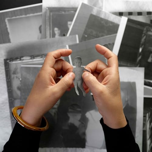 Secrete de familie cover art