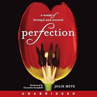 Perfection Audiolibro Por Julie Metz arte de portada