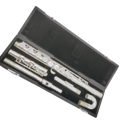 フルート 本体 ケース付き GL CASES GLケース GLE-FL J10 フルート ケース アウトレット