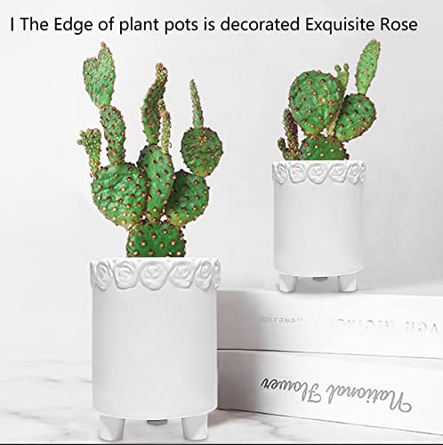 Freetofly Ceramic Plant Pots Indoor-Set Of 3 White Pots For Indoor Plants, Garden Flower Pot Home Desktop Office Windowsill Decoration Gift #TOP2