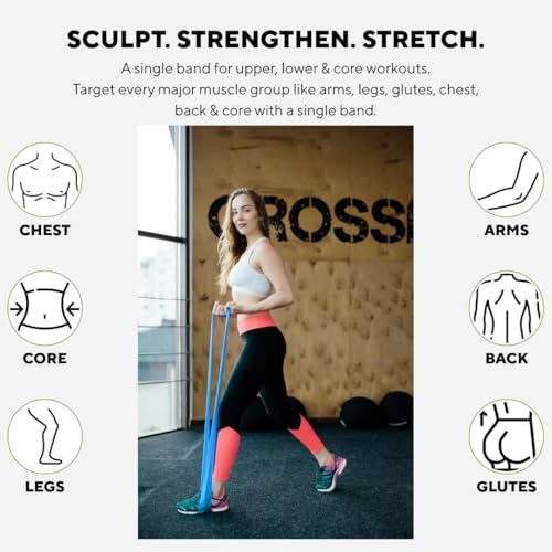 Image of PulseITThera Resistance Bands for Workout. Pilates, Yoga & Home Exercise Bands. Latex Thera Bands for Gym, Strength Training, Stretching & Toning. Fitness Bands for Men & Women (Blue)