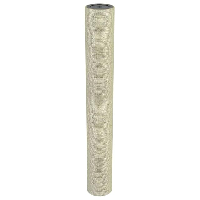 vidaXL Poste rascador para Gatos 8x60 cm 8 mm Beige