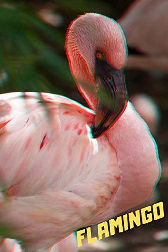 Flamingo: Daily Notebook, Gift, Journal (110 Pages, Blank, 6 x 9)