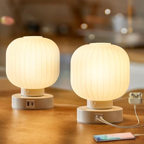 Touch Bedside Glass Table Lamp Set of 2 with 3 Way Dimmable Light...