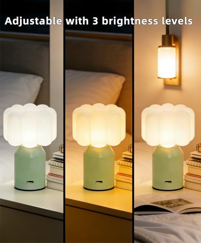 Lámpara de Mesa Recargable con Luz LED y Control Táctil miniatura 3