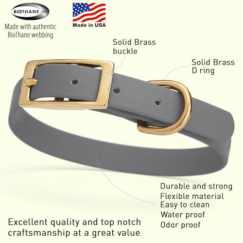 Image of Viper Biothane Heavy Duty Waterproof Dog Collar Strong Coated Nylon Webbing w /Solid Brass Hardware Odor-Proof Easy to Clean High Performance Fits Small Medium or Large Dogs, Battleship Gray
