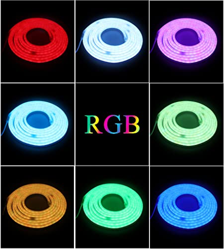 Wisada RGB Neon LED Streifen, 100M 220V 5050 Silikon Flexibler Neonstreifen, Multi-Farbwechsel Neon LED Lichtband mit 24 Tasten Fernbedienung und 750W RGB Regler für Schlafzimmer, Schrank, Bar