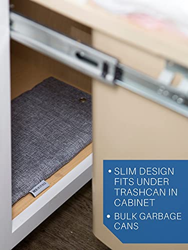 Bamboo Charcoal Air Purifying Bag | 2 Heavy-Duty, Large Flat (2X350G) Charcoal Bags Odor Absorber | Activated Bamboo Charcoal Bags | Odor Eliminator For Strong Odor| Charcoal Odor Absorber #TOP4