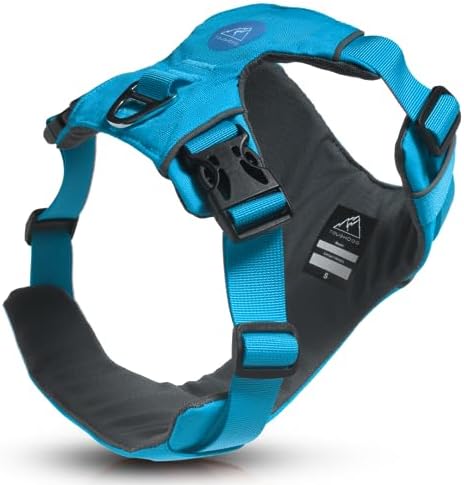 TOUGHDOG Explorer Dog Harness, No Pull Adjustable Comfortable Padded Durable Dog Harness, 2 Lead Attachment Points, Reflective, No Choke, Easy On/Off, Training & Walking, Large Dog, Desert Orange