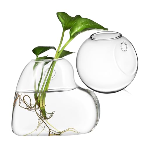 BESPORTBLE Estación De Propagación De Vidrio Borosilicato Colgante para Plantas De Interior, Macetas De Pared Transparentes 10 Cm, Decoración De Pared para Terrario Plantas y Soporte Acuático
