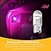 YUPIKJI 30PCS 194 Car LED Light Bulbs, License Plate Light, 168 2825 W5W Wedge COB LED Bulbs, Super Bright 0.36w 12V T10 6000K Lighting Accessories for Dome Map Door Courtesy Lights (Pink Purple)
