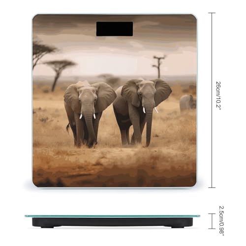 Báscula digital de baño con vidrio templado y pantalla LCD miniatura 2
