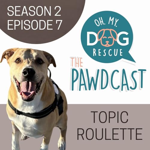 Topic Roulette - S2 E7