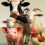 Children's Music Corner