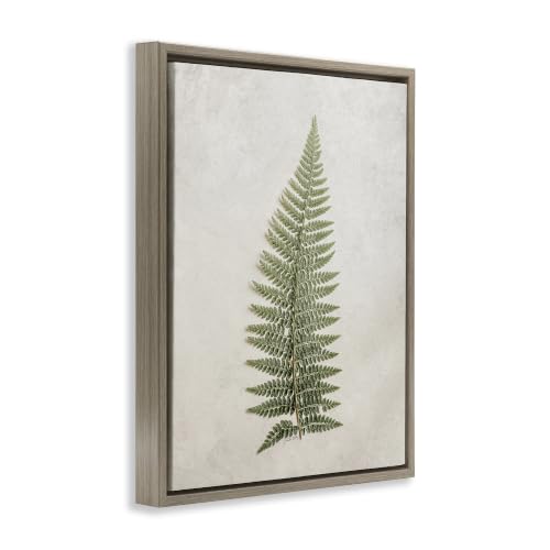 Fern Frond Botanical, 17 x 21 Inch Canvas in Floater Frame by Stupell Industries - Used condition - Image 2