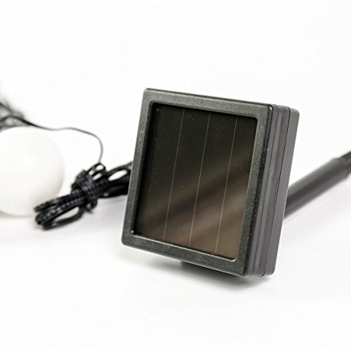 Festive Lights, festone con 12 luci LED