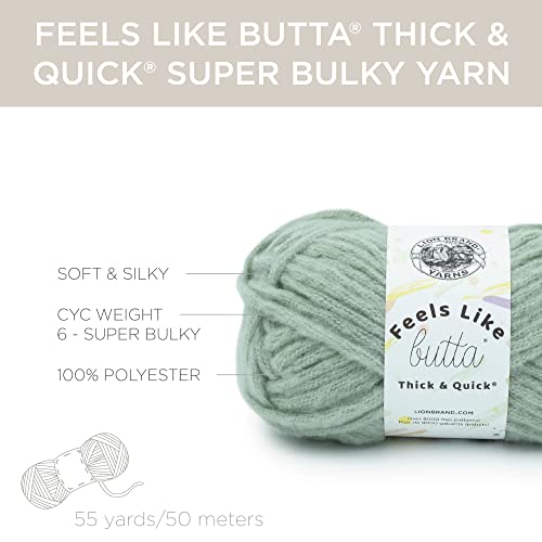 Image of Lion Brand Yarn Feels Like Butta Thick & Quick Yarn, Willow
