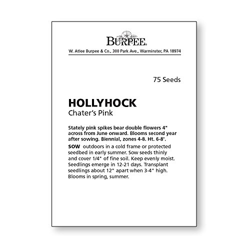 Burpee Chaters Pink Hollyhock Seeds 75 Seeds #TOP3