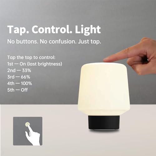 Image of Black Mushroom Lamp,Cute Cordless Rechargeable Table Lamp | 3 Color Tamps,LED Dimmable Ambient Lighting,Small Retro Touch Bedside Light for Bedroom Decor