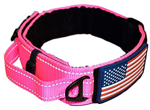 best collar for american bully